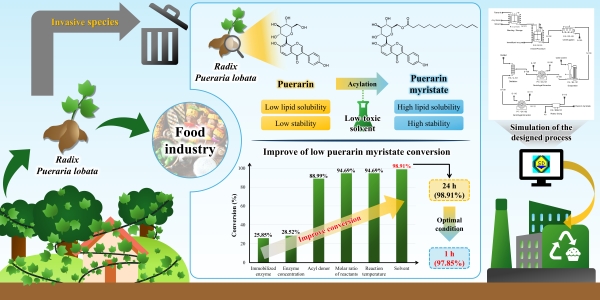 박철환 교수(화학공학과) 연구팀, 칡에서 탄생한 항산화 신소재 고효율 합성 공정 제시