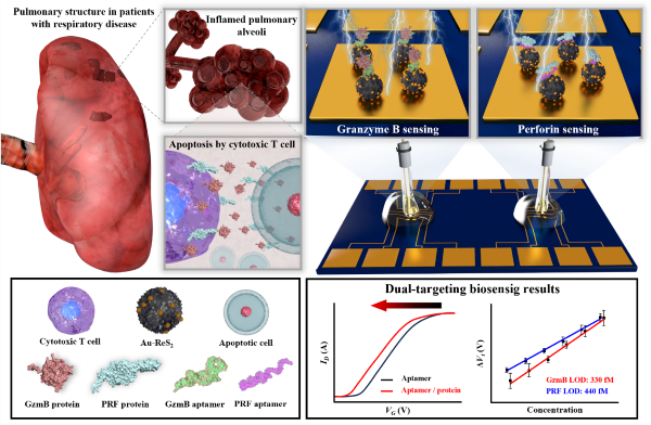 이택 교수(화학공학과) 연구팀 정석호·주민영·박현준, 호흡기 질환 진단용 Au-ReS₂기반 확장 게이트 전계효과 트랜지스터 앱타센서 개발