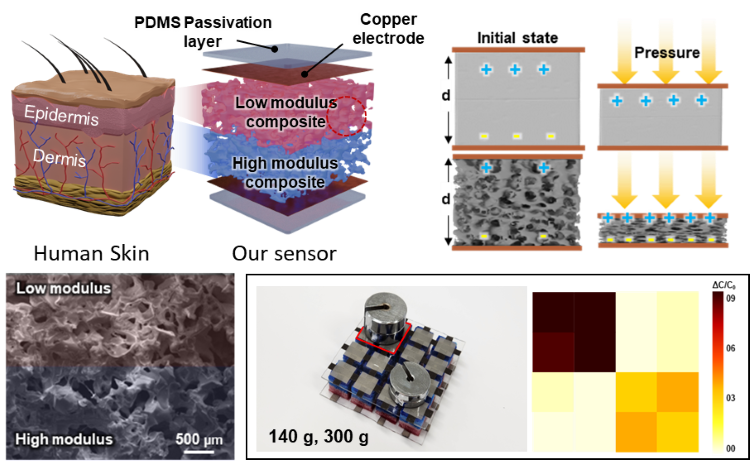 이기원 교수(화학공학과) 연구팀, 인간 피부 모사 듀얼 모듈러스 기반 고성능 유연 압력센서 개발