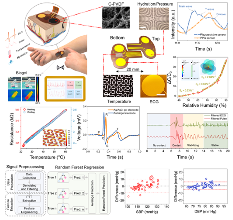 박재영 교수(전자공학과) 연구팀, 압박대 없이 연속혈압 모니터링 피부패치 개발