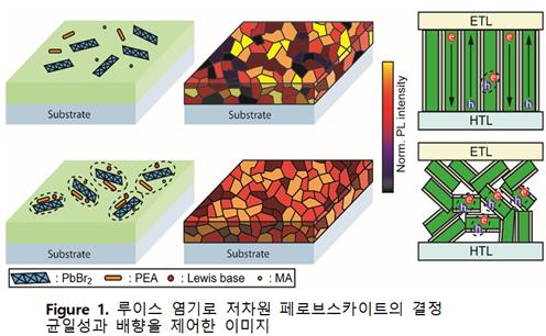 황인찬 교수 연구이미지 