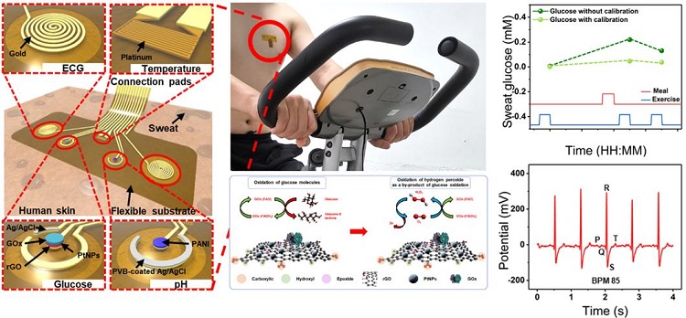 웨어러블 스마트 의료 및 헬스케어 응용을 위한 하이브리드 피부 패치센서와 측정 결과