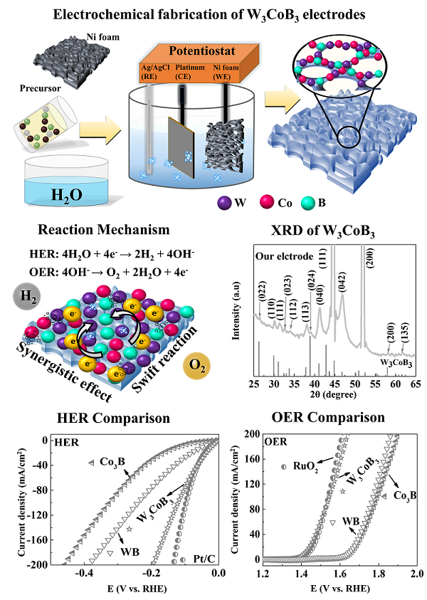 Photo+Caption:+Schematic+diagram+of+the+electrochemical+deposition+of+W3CoB3+electrodes+in+a+three-electrode+system.+XRD+analysis.+Hydrogen+evolution+(HER)+and+oxygen+evolution+(OER)+performance+of+W3CoB3,+Co3B,+and+WB:+compared+to+standard+benchmark+electrodes+of+Pt/C+and+RuO2.

+