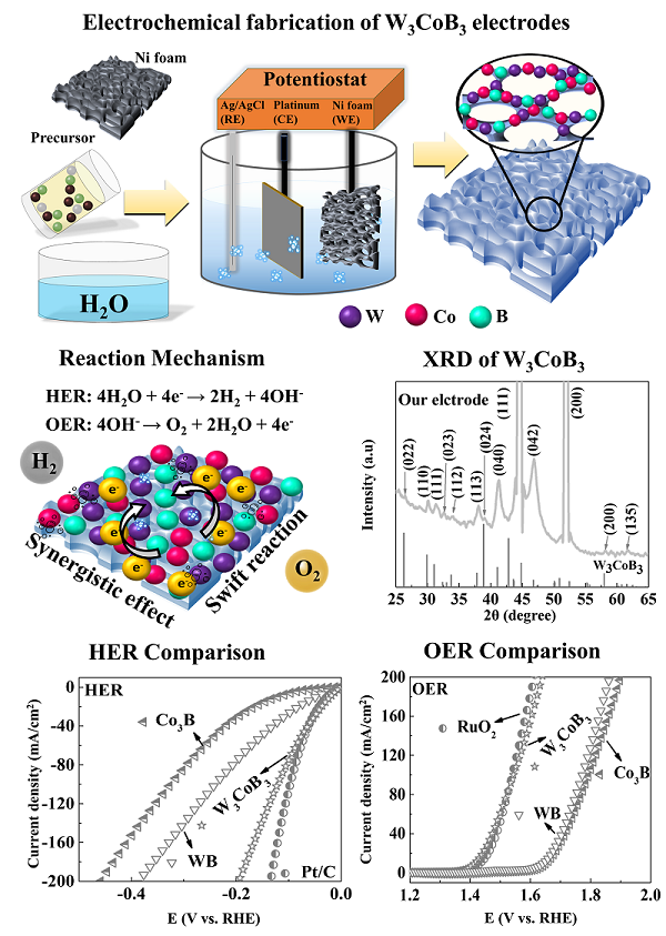 Photo Caption: Schematic diagram of the electrochemical deposition of W3CoB3 electrodes in a three-electrode system. XRD analysis. Hydrogen evolution (HER) and oxygen evolution (OER) performance of W3CoB3, Co3B, and WB: compared to standard benchmark electrodes of Pt/C and RuO2.

 