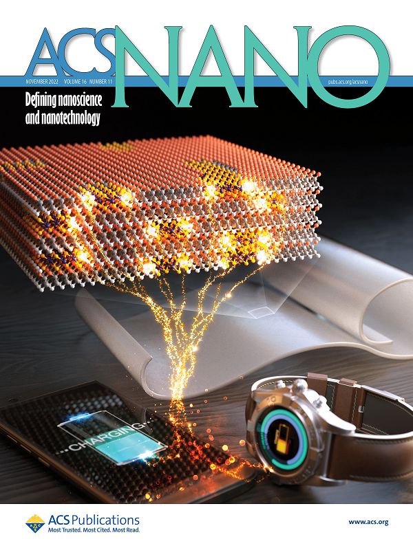 ACS Nano에 게재된 커버 이미지