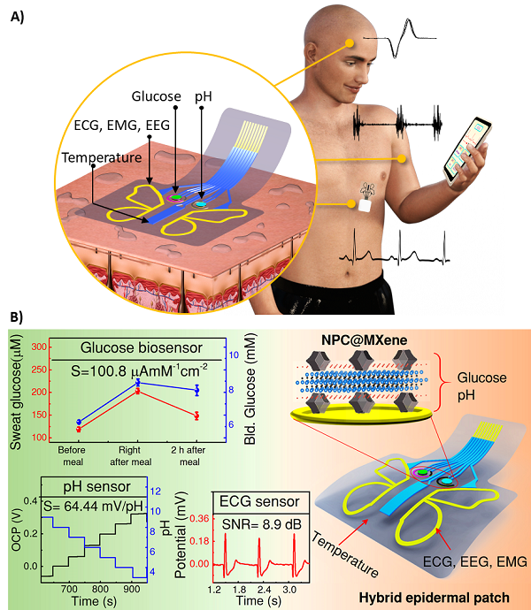 <Structure and performance of a butterfly-shaped hybrid skin patch sensor for wearable smart medical and healthcare applications>