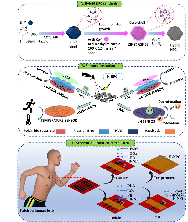 하이브리드 나노다공성 탄소(H-NPC, Hybridized Nanoporous Carbon) 소재 합성 절차와 포도당, 젖산, 온도, pH 통합 멀티센서 패치 개념도