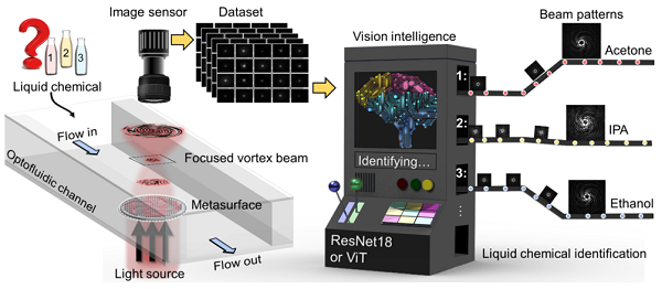 [비전 AI를 활용한 메타표면 기반 액체 식별 과정의 개략도]

