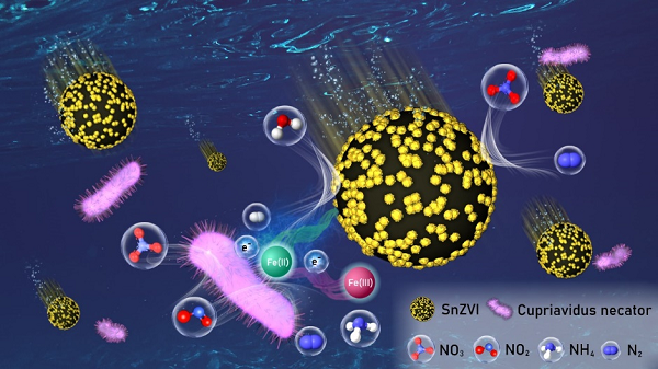 Professor Min Jang’s Research Team Sucesssfully Developed Hydrophilic Sulfur-bearing Zero Valent Iron Nanomaterial for the Improvement of the Biological Denitrification of Nitrate in Groundwater 

- Published in a Scientific Journal, Journal of Hazardous Material (JCR IF 14.22, JCR Rank: 3.2%)