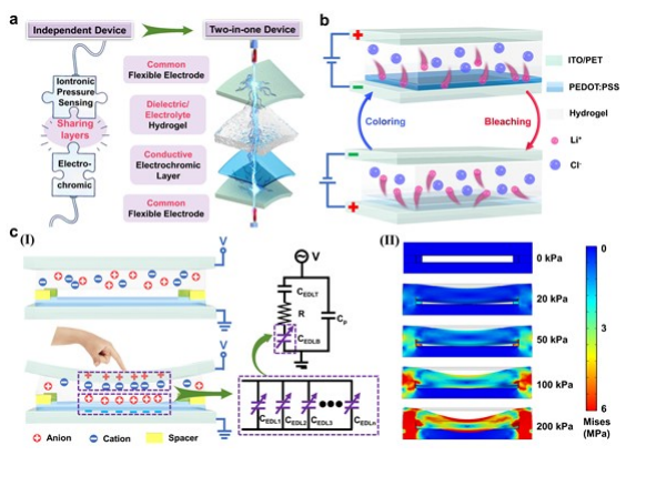 a 이온화에 의한 압력 센싱 및 전기변색 과정이 결합된 새로운 소자
b 소자의 착색과 표백에서의 이온의 이동 현상
c (i) 이온화에 의한 압력 센싱 메카니즘과 등가회로 모델
c (ii) 0~200 kPa 에 따른 웨어러블 소자의 압력 및 스트레스 분포도