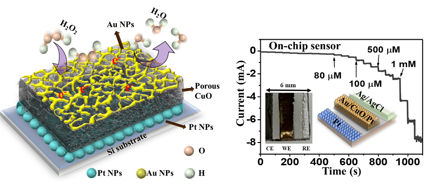  3차원 다공성 Au/CuO/Pt 하이브리드 플랫폼 개략도 및 3전극 온칩 (on-chip) 바이오센서. Au/CuO/Pt 하이브리드 센서는 25,836 μA mM-1cm-2의 초고감도와 1.8 nM (S/N = 3) 검출리밋, 과산화수소 (Hydrogen peroxide, H2O2) 환원에 대한 탁월한 촉매 성능을 나타냄. 또한, 염화나트륨 (NaCl), 과당 (fructose), 아스코르브산 (ascorbic acid), 구연산 (citric acid), 도파민 (dopamine) 및 포도당 (glucose)에 대해 탁월한 항간섭 능력 (anti-interference ability)을 보여주었다.