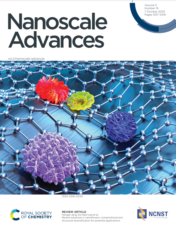 Nanoscale Adv., 2023, 5, 5165-5213, DOI: 10.1039/d3na00163
