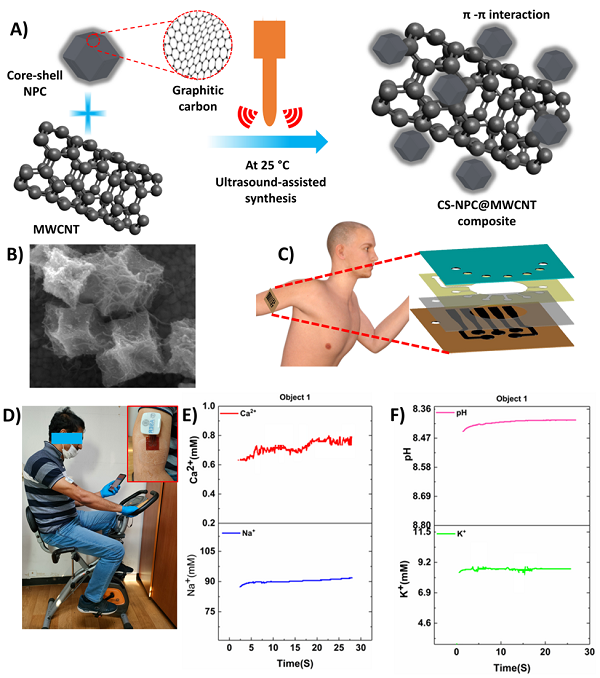 <(A) CS-NPC 및 MWCNT 기반 고체 접촉(SC) 나노복합체(CS-NPC@MWCNT) 합성 절차의 개략도, (B) CS-NPC@MWCNT 나노복합체의 FESEM, (C) 땀 수집을 위한 미세 유체 채널을 포함하는 멀티센서 패치 층의 개략도, (D) SC 기반 제작 패치를 착용한 지원자, (E-F) 제작된 멀티센서 패치로 정량화된 땀 Ca2 , Na , pH 및 K  전해질의 실시간 값>
