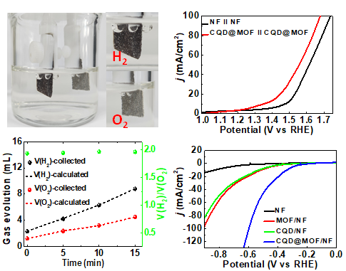 CQD@MOF 기반 전기 촉매의 수전해 및 이산화탄소의 전기화학적 환원 특성 결과