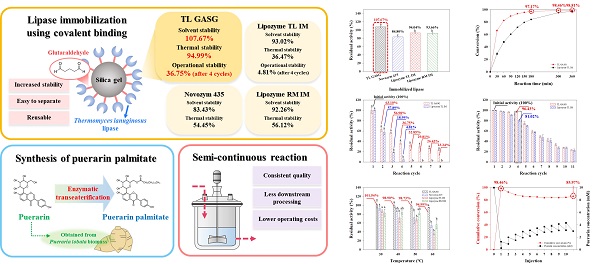 박철환 교수 연구팀(화학공학과), 생촉매 기반 항산화 물질 연속 생산을 위한 전략 제시
고정화효소 TL GASG를 이용한 puerarin palmitate 합성의 반연속식 시스템 적용 과정 사진자료