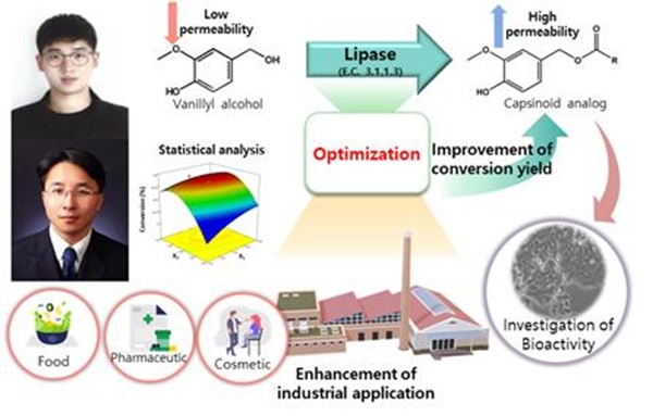 캡시노이드 유사체의 효소적 합성효율 향상 및 생리활성평가 모식도(사진 좌측상단부터 권혁기 학생, 박철환 교수)