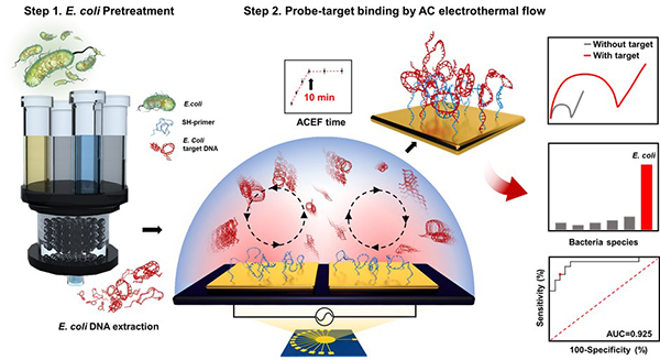 이택 교수(화학공학과) 연구팀, 
우유에서 대장균 검출을 위한 현장 DNA전처리장치-고속 바이오센서 통합 시스템 개발