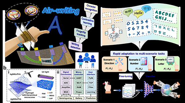이종철 교수(전자융합공학과) 연구팀, 자기-주도 대조 학습 알고리즘 (Self-Supervised Contrastive Learning)이 적용된 웨어러블 손목밴드를 이용한 다이내믹 air-writing 인식을 위한 신속한 응용 방법 개발