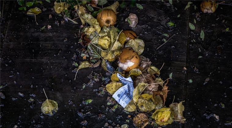 하태준 교수 (전자재료공학과) 연구팀, Biowaste 기반 마찰전기 나노 발전기를 통한 

지속 가능한 에너지 하베스팅 기술 관련하여 Advanced Science News와 인터뷰
