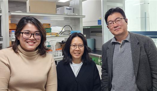 장민 교수(환경공학과)연구팀, 질소 고정을 통한 암모니아 생산을 촉진하는 Ru-doped Bismuth Titanate 페로브스카이트 산화물 광촉매 개발