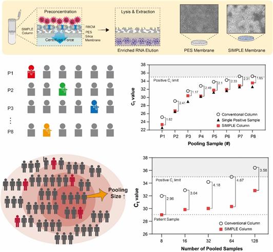 대규모 샘플 풀링에서도 높은 민감도를 유지하고 대규모 모니터링이 가능한 나노-하이브리드 멤브레인 기반 핵산 농축 기술