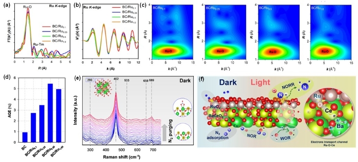연구 이미지 2. FT-EXAFS fitting curves of prepared photocatalysts at the Ru–edge using RuO2 model (a~b). Wavelet transform (c) for the weighted Ru–edge EXAFS signal of prepared photocatalysts. AQE (d) for photocatalytic ammonium production using prepared photocatalysts. Surface-enhanced Raman spectroscopy (SERS) analysis (e) forBC/Ru0.5 in the N2/dark condition. Proposed mechanism of photocatalytic ammonia production using optimum photocatalyst.