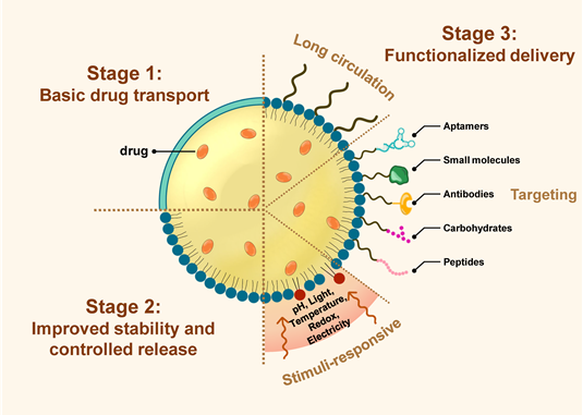 생체 장벽 극복을 위한 지질 기반 약물전달체의 구조적 진화 단계 개략도
