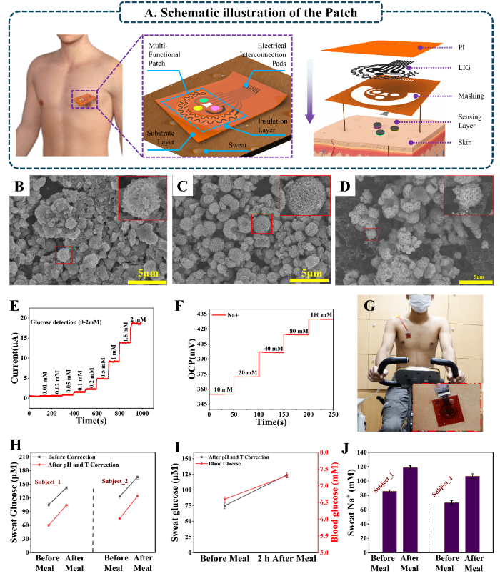 본 연구에서 개발된 패치의 개략적 구조도