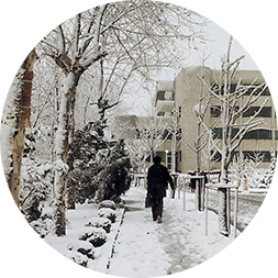 1980년 겨울, 눈이 온 캠퍼스, 화도관 가는 길 사진