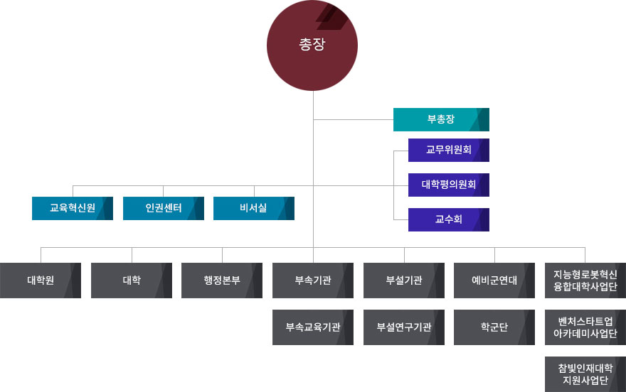 광운대학교 조직 및 기구표 : 총장 - 대학평의원회,교무위원회,교수회 - 부총장,비서실,교육혁신원,인권센터
